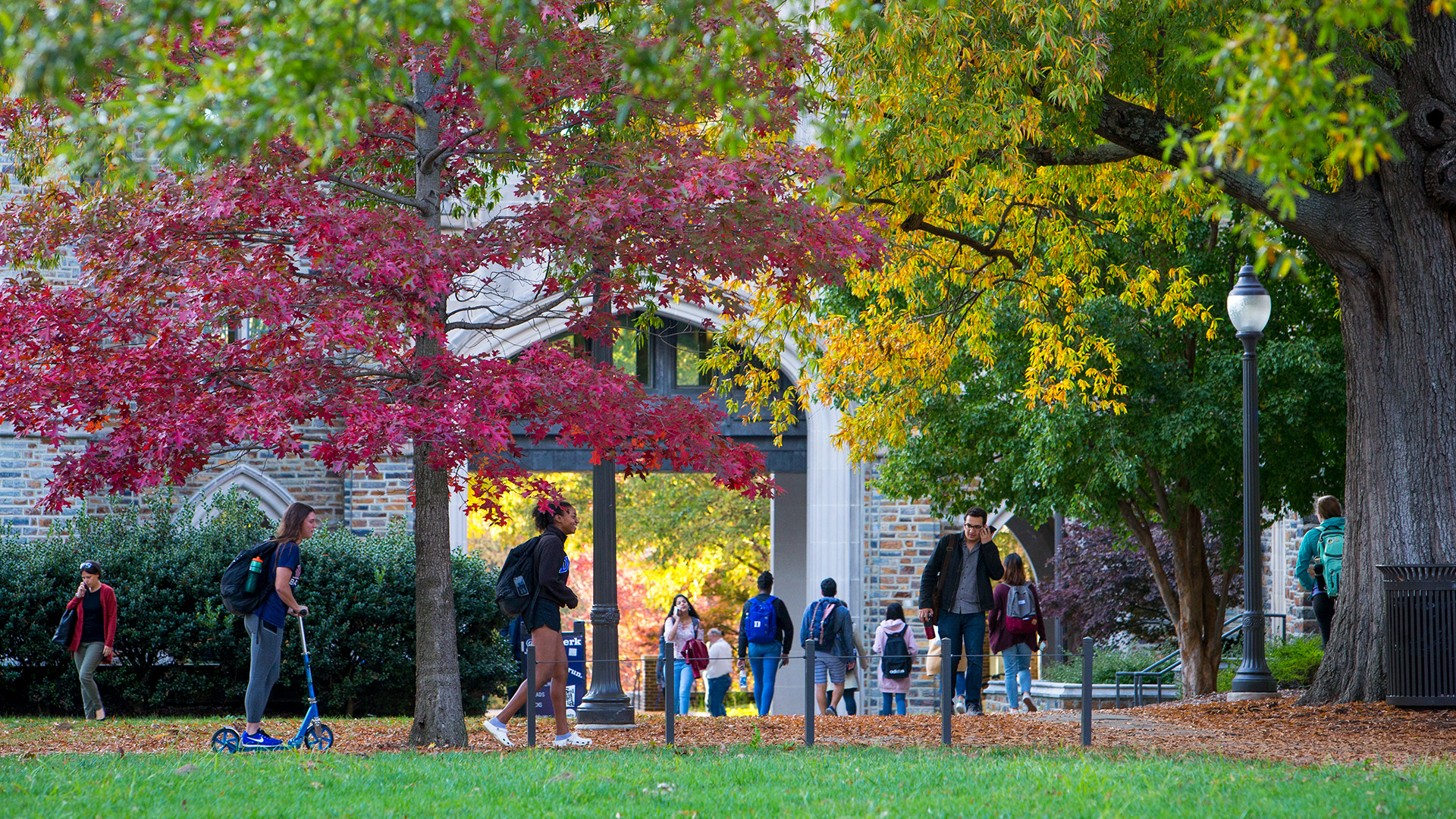 Fall season on campus. Leaves with red, yellow, and green still on trees and students walking through fallen leaves.