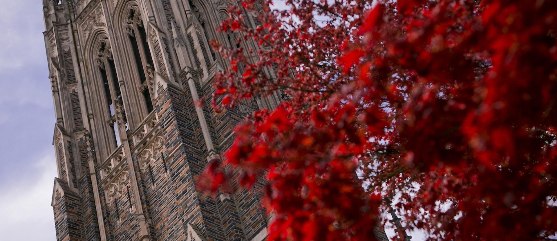 Red tree blooming in front of Chapel.