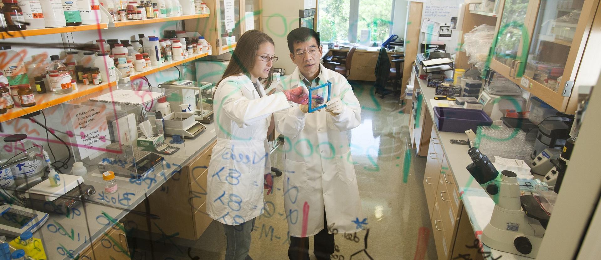 A junior and senior lab member work together in Barton Haynes' Medical Sciences Research Building II building lab. The Haynes lab is studying host innate and adaptive immune responses to the human immunodeficiency virus (HIV), tuberculosis (TB), and influenza in order to find the enabling technology to make preventive vaccines against these three major infectious diseases.