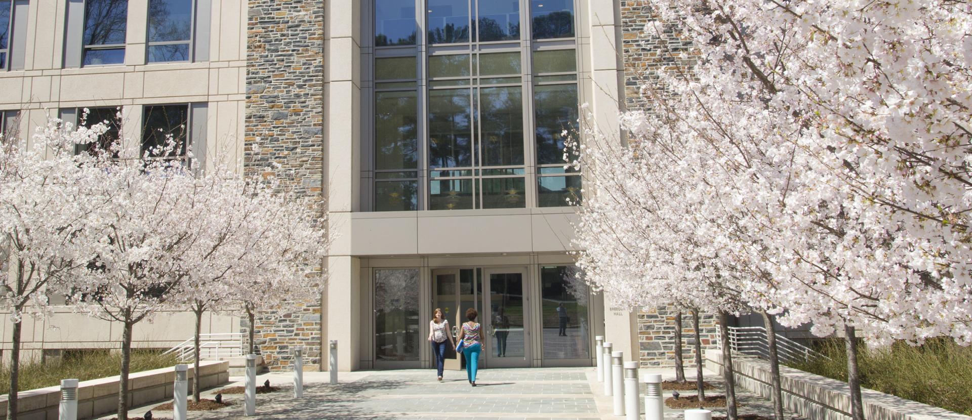 Blooming cherry blossom trees line the entrance of the Fuqua building where two people are entering the door.