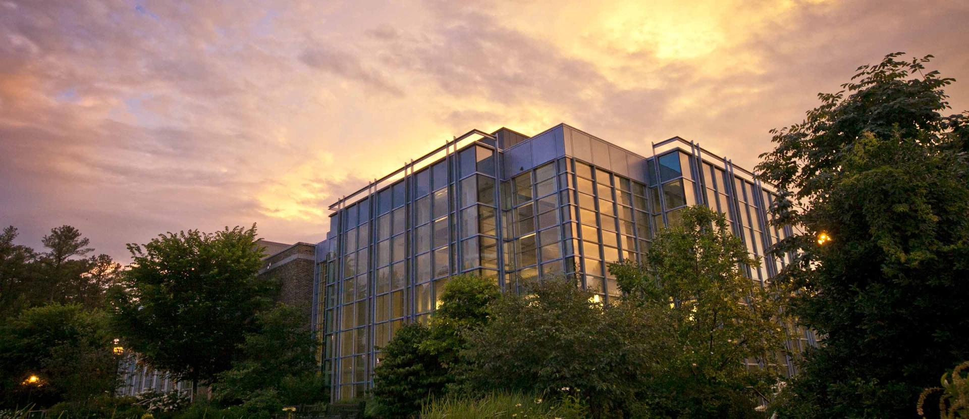 Duke Law School Building Among Trees and Skyline