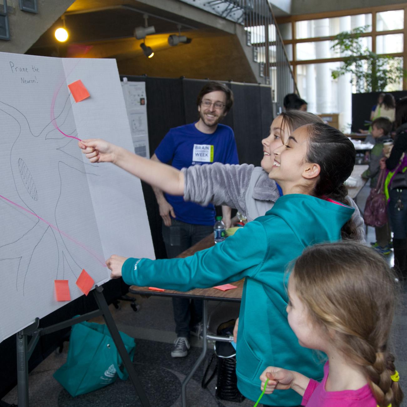 Schoolchildren play "prune the neuron," an activity at Duke University's Brain Week.