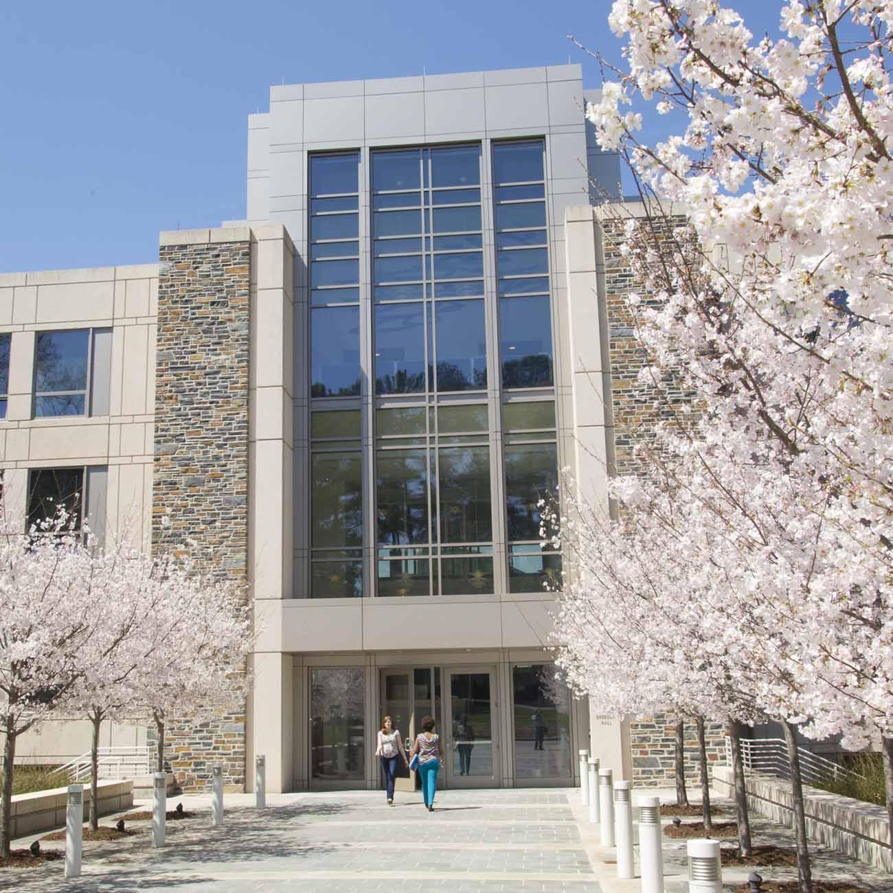 Blooming cherry blossom trees line the entrance of the Fuqua building where two people are entering the door.