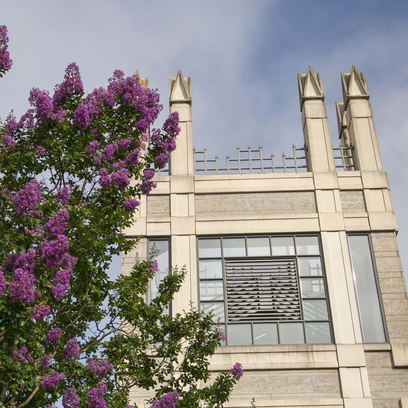 An external view of the Sanford School of Public Policy with crape myrtles.