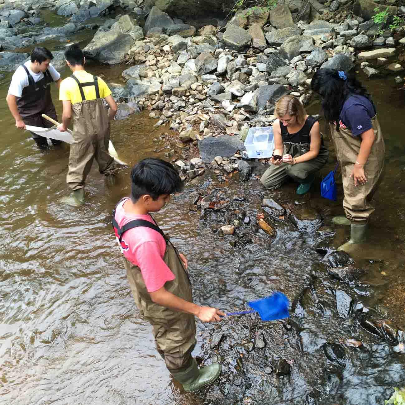 Duke students working in a river.
