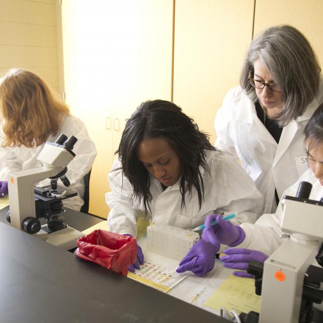 Duke Physician Assistant students learn how to do urinalysis with microscopes in a lab at the PA School.